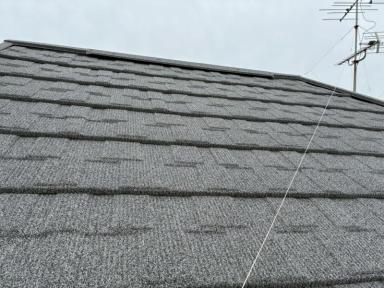 もうすぐ春ですね