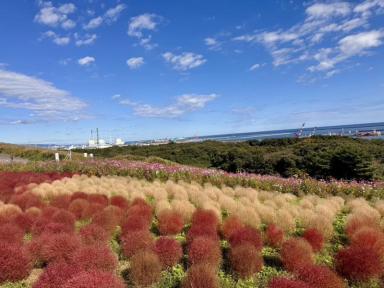 松戸市ＯＯ様邸で外壁塗装工事★