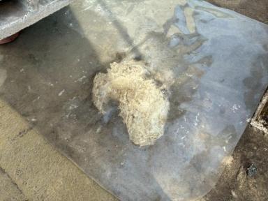 松戸市＊＊様邸ベランダ防水工事